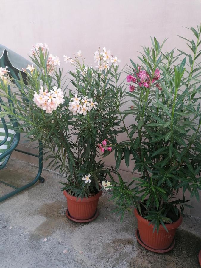 Villa Ros Guest House Svilengrad Exterior foto
